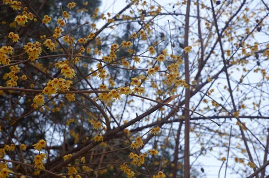 雨水降，萬(wàn)物蘇(圖3)