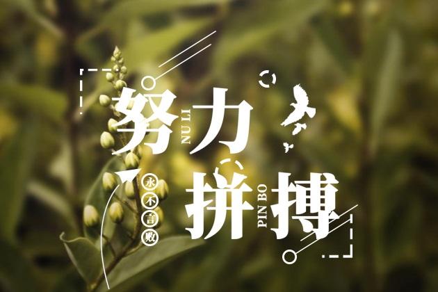  給我一份信任，還你10分滿意(圖3)